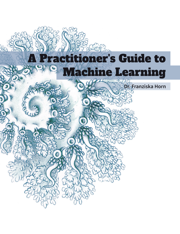A Practitioner's Guide to Machine Learning